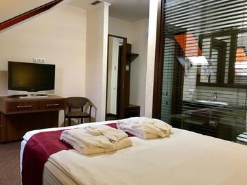 Фото номера Двухместный номер с 1 кроватью Отель Hotel Restaurant Украиночка г. Кривой Рог 4