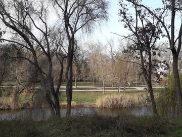 Фото номера Апартаменты с 1 спальней Апартаменты Apartment on Karla Marksa Avenue г. Кривой Рог 26